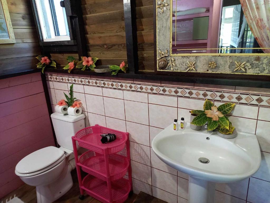 a bathroom with a sink and a toilet and a mirror at Pension LE PASSAGE vue jardin in Vaitoare