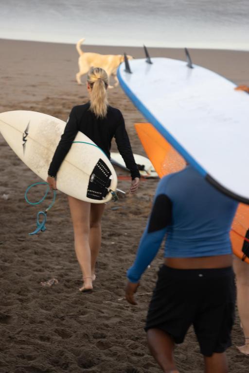 Hosté ubytování Zentiga Surf Hostel