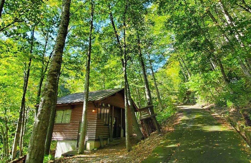 a cabin in the woods next to a road at Yato Furusato Forest - Vacation STAY 21069v 