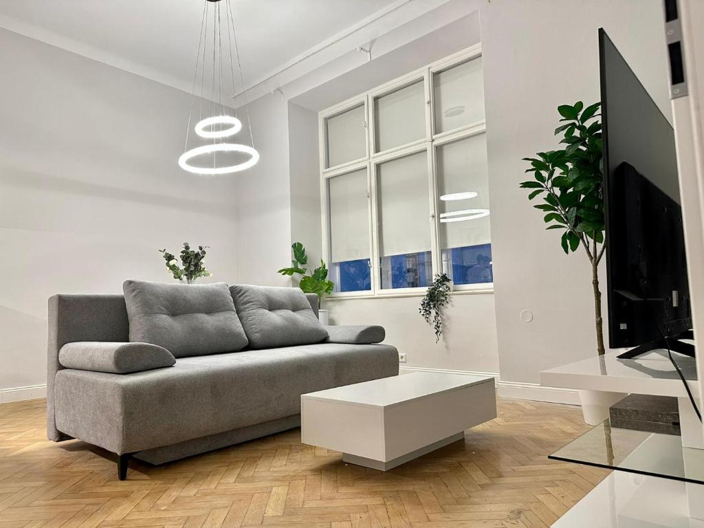 een woonkamer met een bank en een tv bij Stylish Apartment - in the Center in Wenen