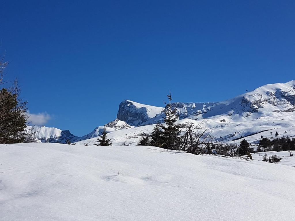 Obiekt chalet gentiane cosy T2 labellisé Dévoluy zimą