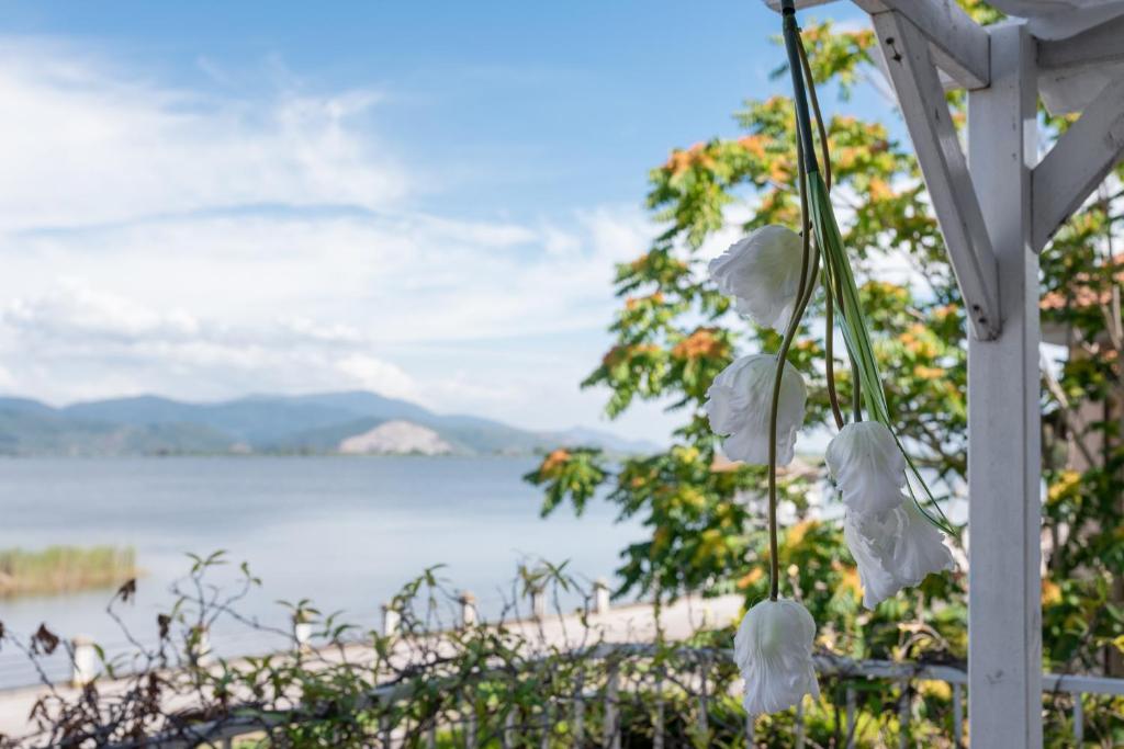 a view of the water from a white pergola at Hotel Butterfly in Torre del Lago Puccini