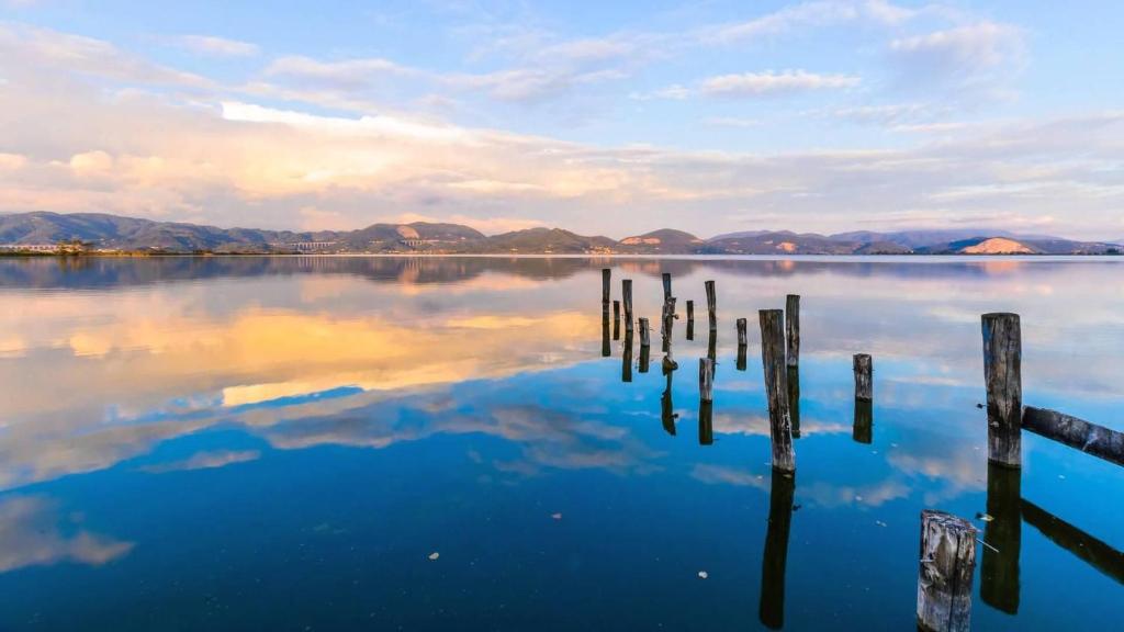 a view of a lake with poles in the water at Hotel Butterfly in Torre del Lago Puccini