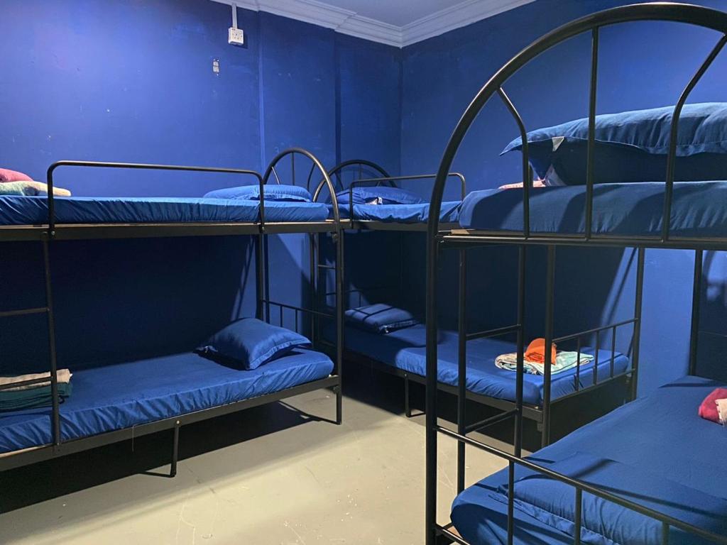 een kamer met 3 stapelbedden met blauwe muren bij Capsule Inn in Kota Kinabalu