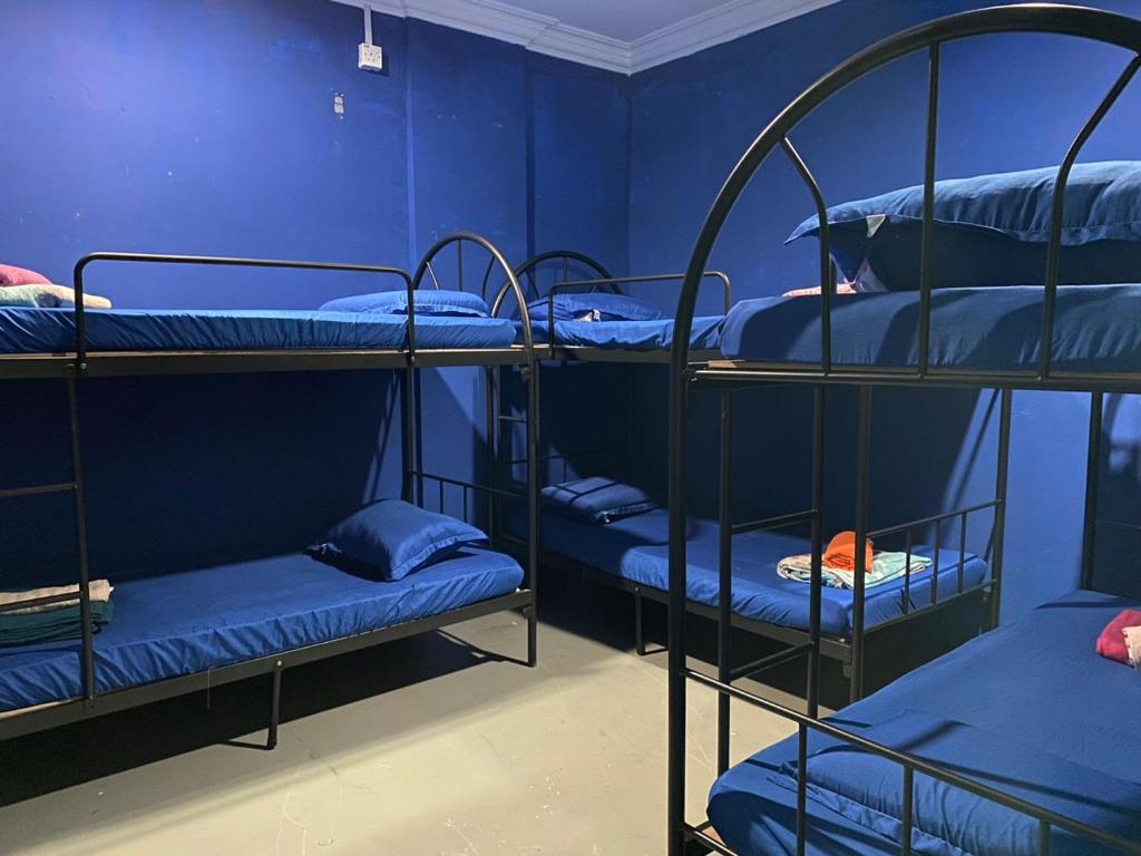 a room with three bunk beds with blue walls at Capsule Inn in Kota Kinabalu