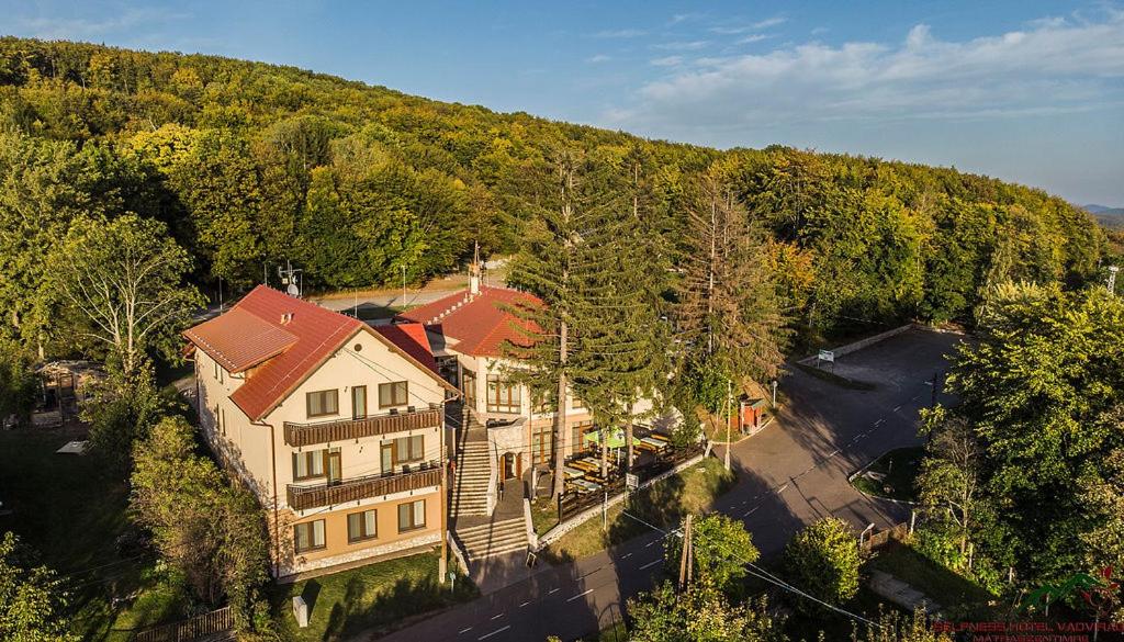 an aerial view of a large house in the woods at Selfness Hotel Vadvirág Mátraszentimre in Mátraszentimre