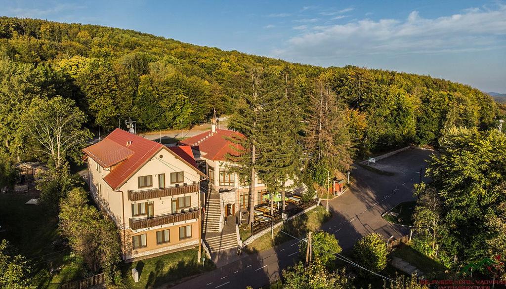 Selfness Hotel Vadvirág Mátraszentimre 3235 Mátraszentimre, Rákóczi út 35-37. kép - 1
