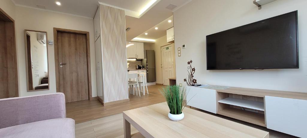 Televízia a/alebo spoločenská miestnosť v ubytovaní Harmony Apartments Sárvár