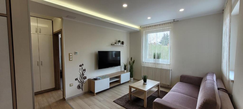 Televízia a/alebo spoločenská miestnosť v ubytovaní Harmony Apartments Sárvár