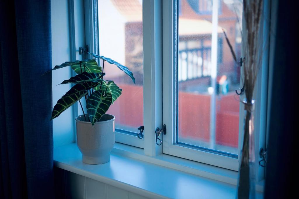 Fotografie z fotogalerie ubytování Plesners Badehotel v destinaci Skagen