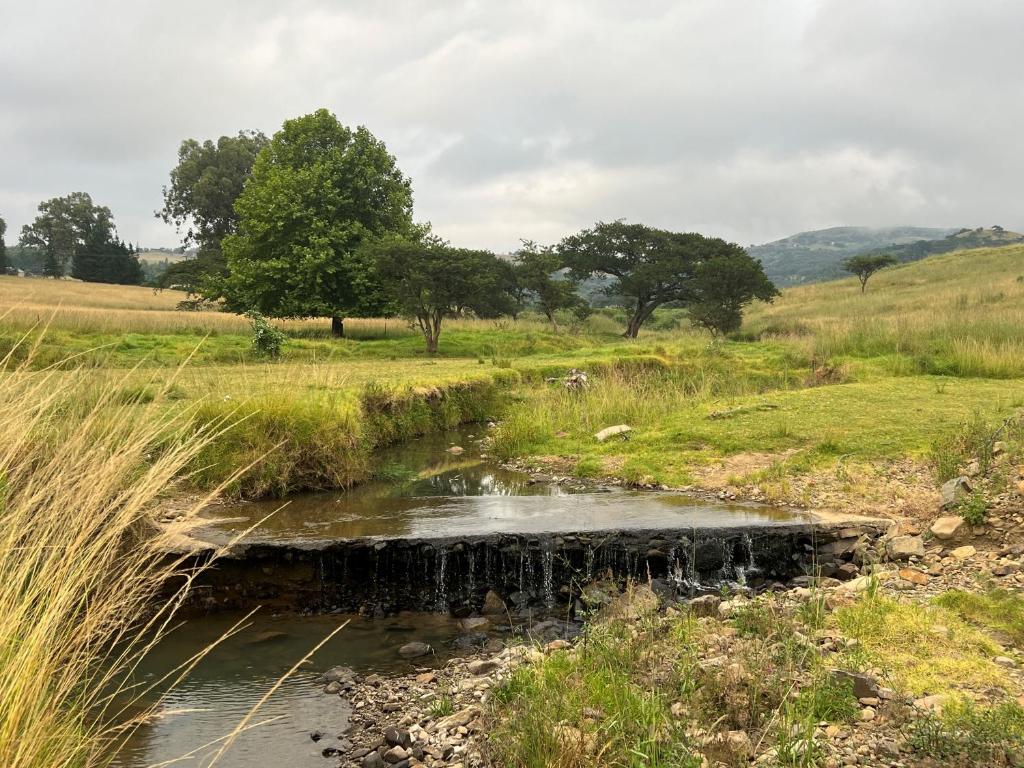 un arroyo en un campo con césped y árboles en Wyford Farm, en Van Reenen