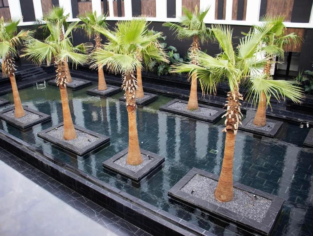 a row of palm trees in a pool of water at pool house in Douar ech Chott