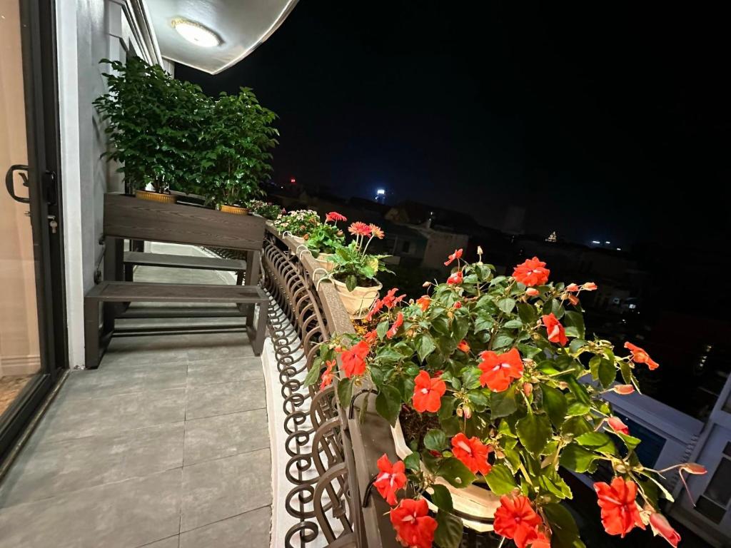 Dolce Mia Home Ninh Bình - 6