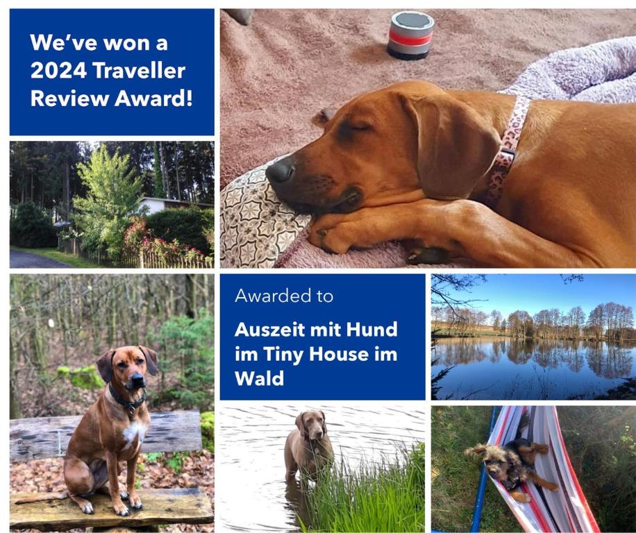 a collage of pictures of a dog laying down at Hundeurlaub im Tiny House im Wald in Tanna