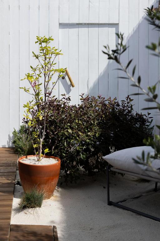 a plant in a large pot next to a bush at Casa Idalia Boutique Hotel in Comporta