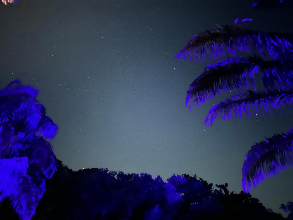 Fotografie z fotogalerie ubytování Sierra Jungla v destinaci Minca
