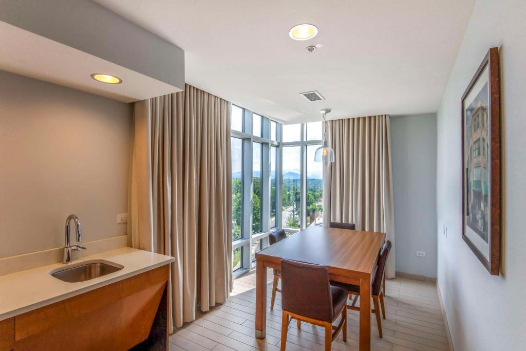 DoubleTree by Hilton Asheville Downtown - King Suite Avec Vue Sur La Montagne