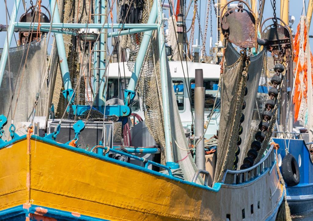 Fotografie z fotogalerie ubytování Petit coin de paradis à Port-Leucate v destinaci Port Leucate