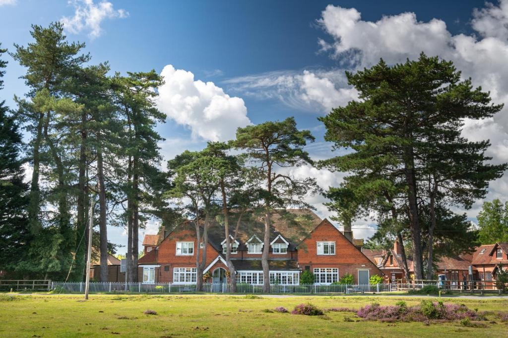 Beaulieu Hotelにある庭