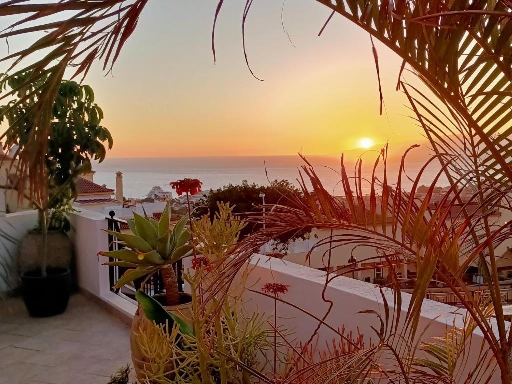 a sunset over the ocean from a balcony with plants at Costa Adeje Villa Private pool Panoramic Views in Adeje