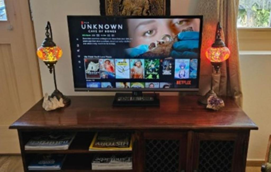 TV a/nebo společenská místnost v ubytování Large deluxe studio for 2 - Chalet Lovo