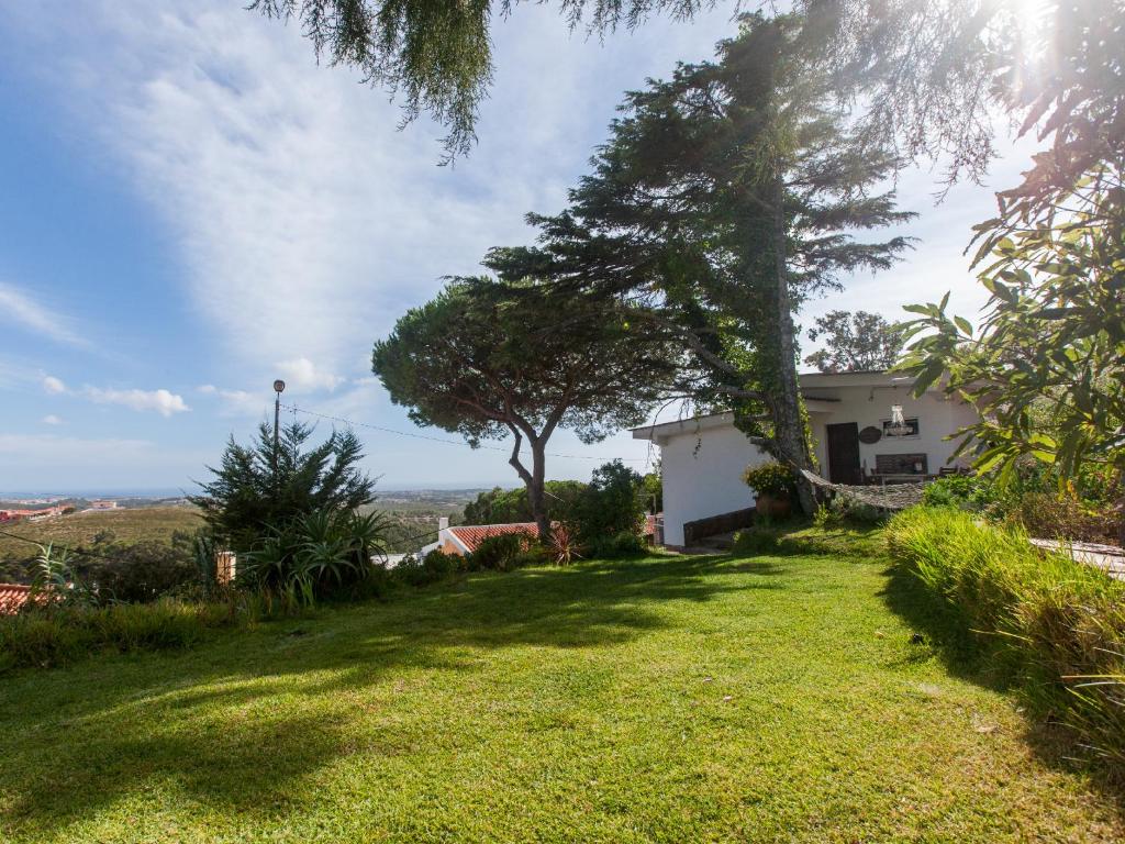 un patio con un árbol y una casa en The Shelter, en Malveira da Serra