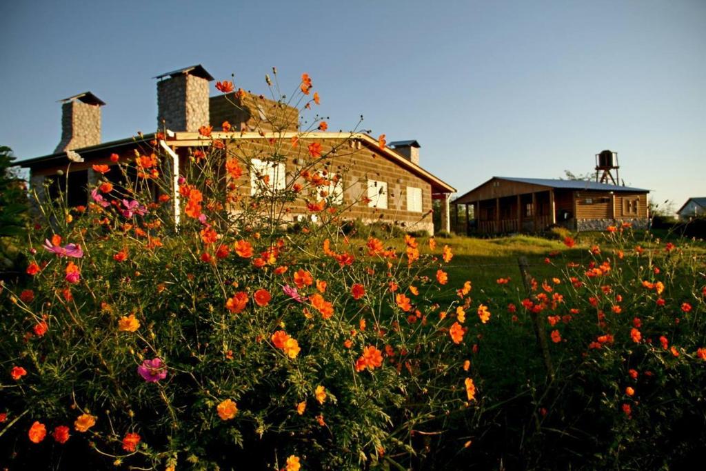 a field of flowers in front of a house at Cabañas Aliksir in Cosquín