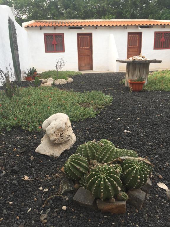 Zahrada ubytování Villa Morabeza Guest House
