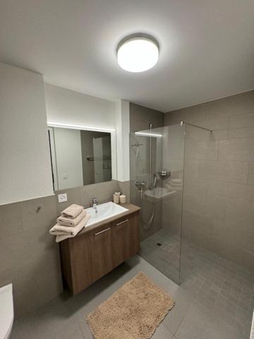 a bathroom with a sink and a shower at Vogt Appartements in Schaanwald