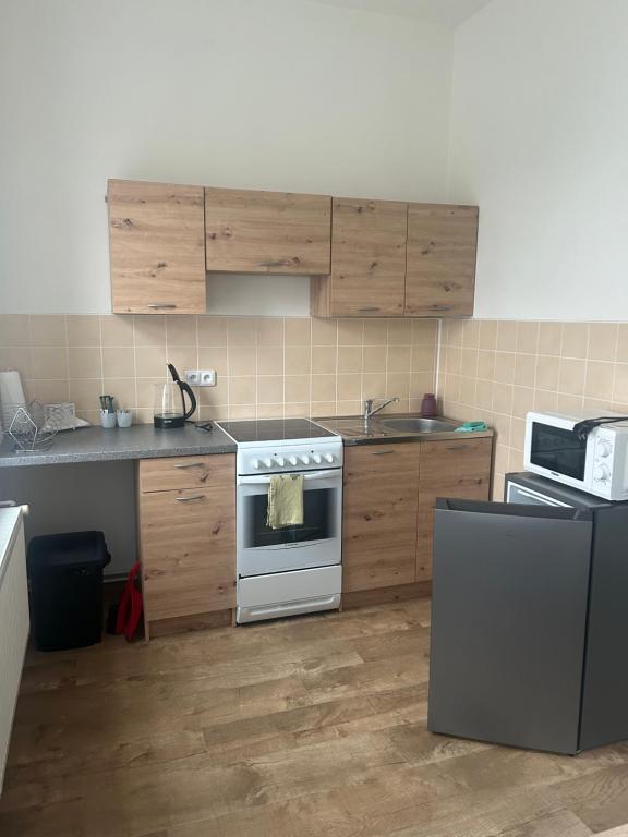 Kuchyň nebo kuchyňský kout v ubytování Apartmán Krkovička