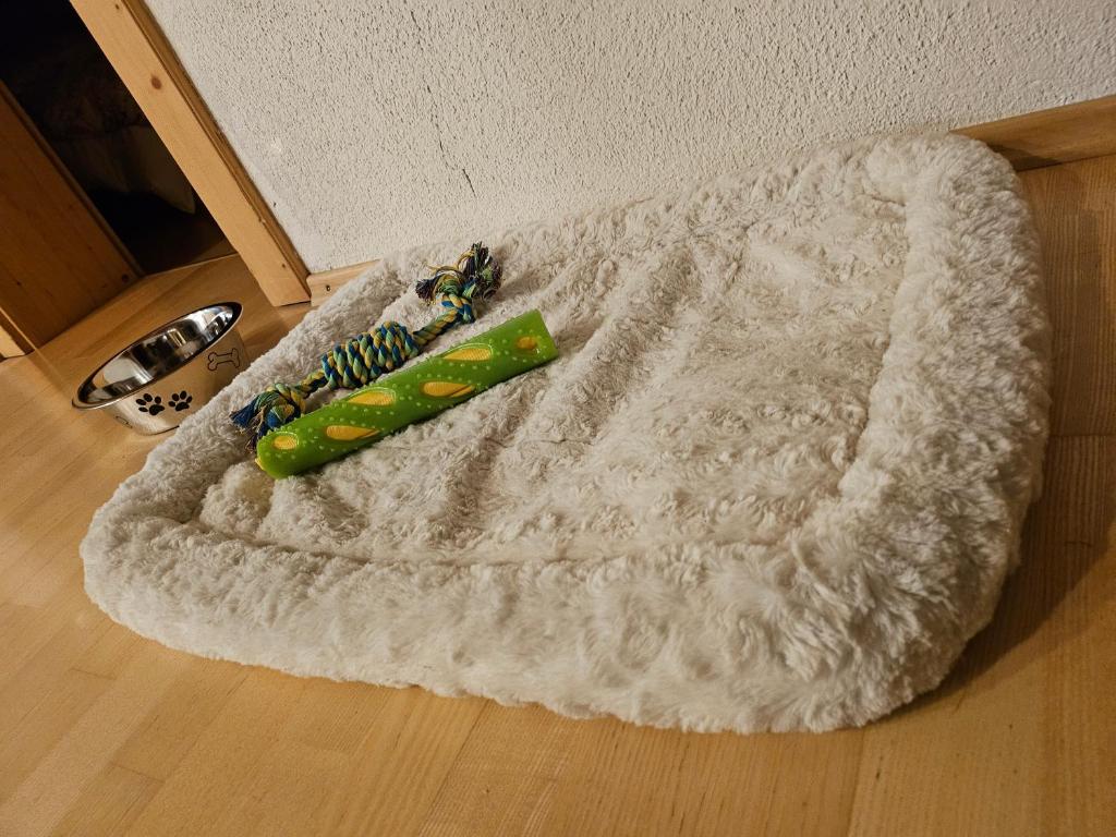 Fotografie z fotogalerie ubytování Privatzimmeroase Felicitas exklusive Zimmer v destinaci Zirl