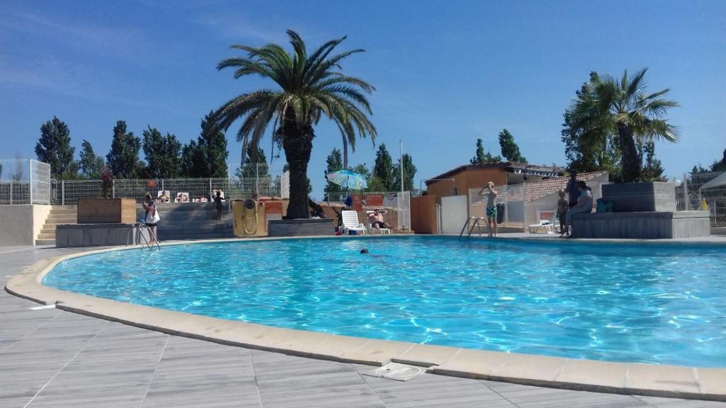 une grande piscine bleue avec des palmiers en arrière-plan dans l'établissement MOBILHOME COSY SPACIEUX 42m2, CLIMATISE, TV & LL, 3 chambres, à Vic-la-Gardiole