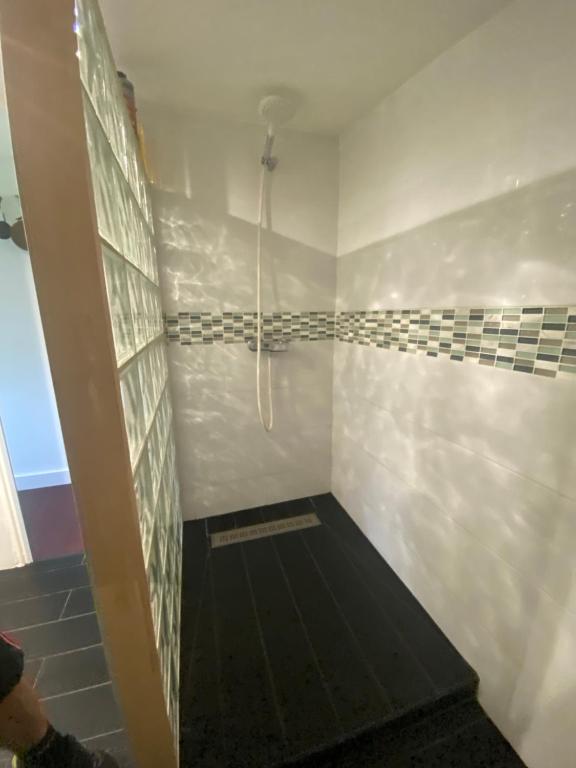 a bathroom with a shower with a black floor at Chambre Sayulita/Spa/piscine in Idron