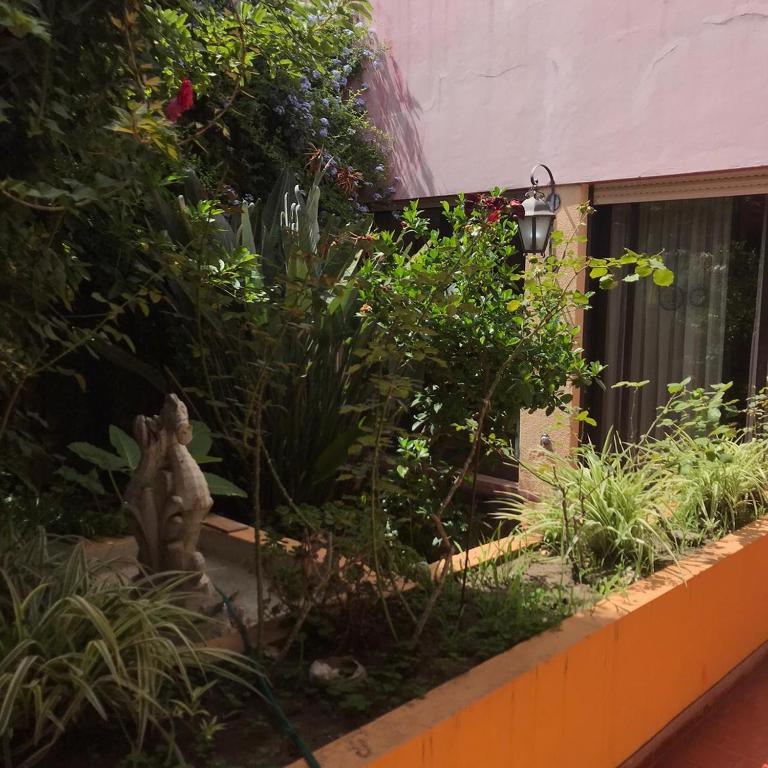 um jardim no lado de um edifício em Alojamiento por día/mes/año femenino Mafalda Viedma em Viedma