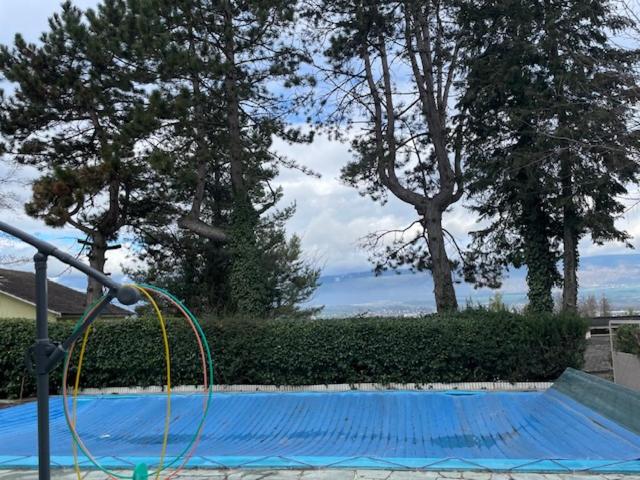 a swimming pool with a blue tarp and trees at Chez Rémy in Yverdon-les-Bains