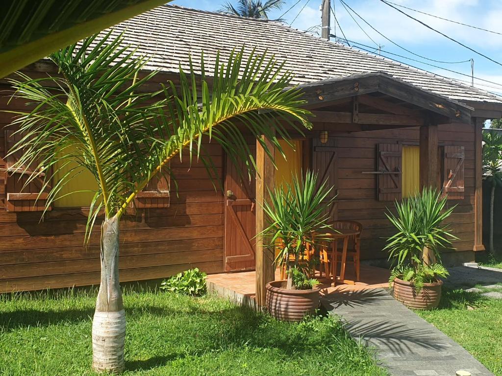 a house with a palm tree in front of it at Lodge Garden in Saint-Pierre