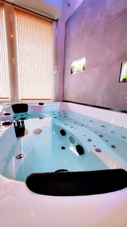 Fotografia z galérie ubytovania KosyKasa SPA v Cannes