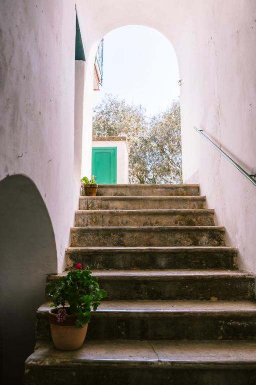 Fotografie z fotogalerie ubytování Lucy's guest house Amalfi coast v destinaci Tramonti