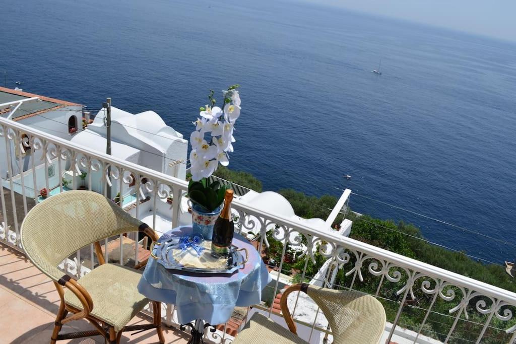 Naturlandskabet i nærheden af lejligheden