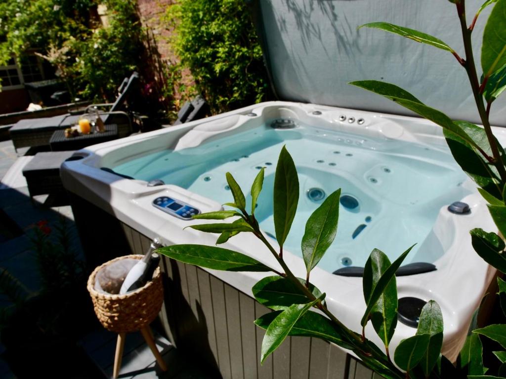 a jacuzzi tub with a plant next to it at Luxury 3 Bed Manor House HotTub Cinema in Saffron Walden