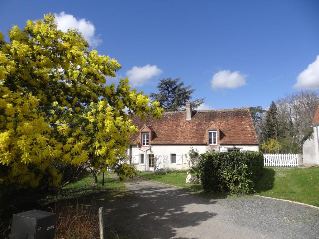 une maison blanche avec un arbre en face dans l'établissement Gîte des Bruyères, à Graçay