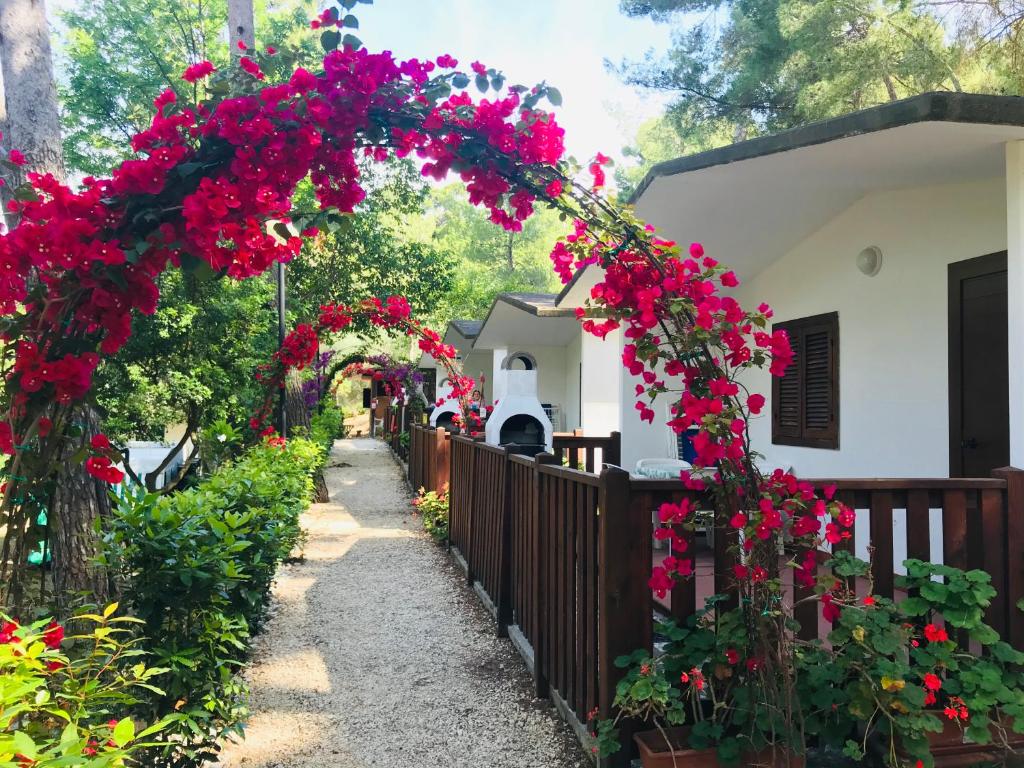 Camping Villaggio Internazionale في سان مينايو: حديقة بها زهور حمراء على سياج