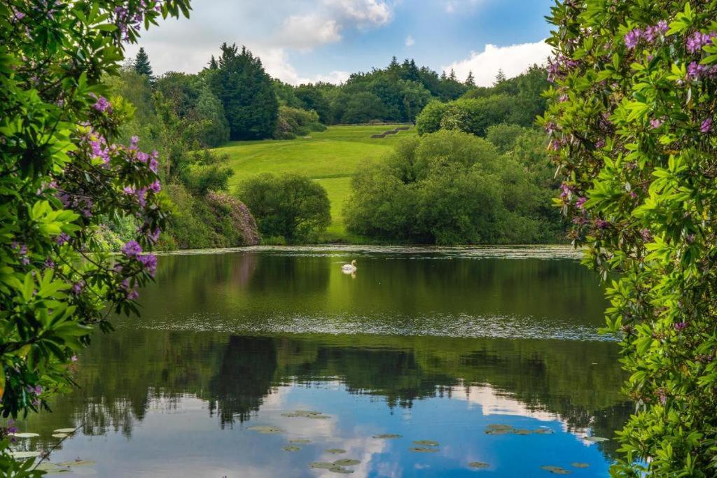 - Vistas al lago con un pato en Monaghan Town House sleeps 12 5 mins walk to Town Centre, en Monaghan