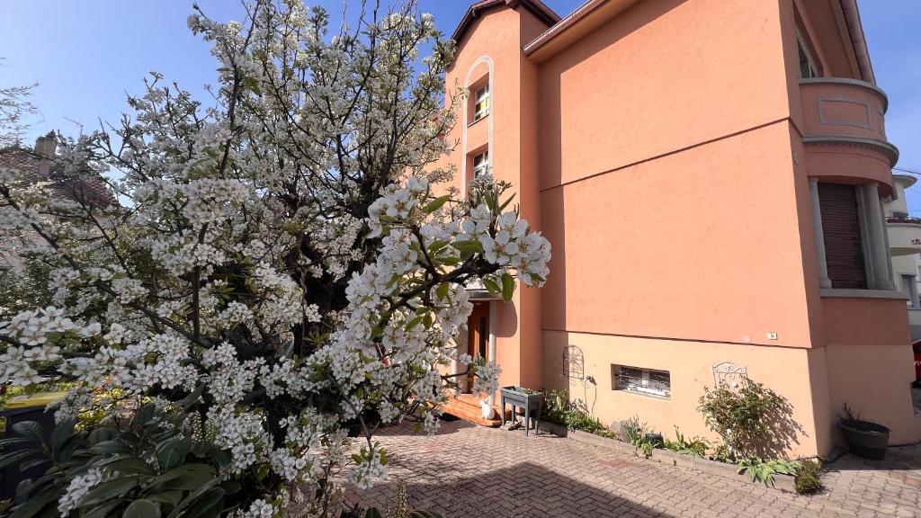 un arbre à fleurs blanches devant un bâtiment dans l'établissement T3 + VÉRANDA A STRASBOURG, à Strasbourg