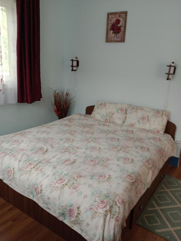 Casa Dragoi din Socolari, Caras - Severin - Habitación Doble Con Baño Privado