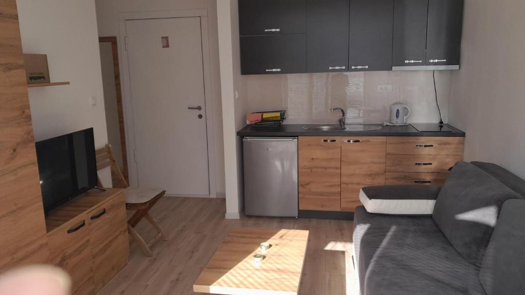 Spa Koncept-Apartmani - Apartment With Terrace