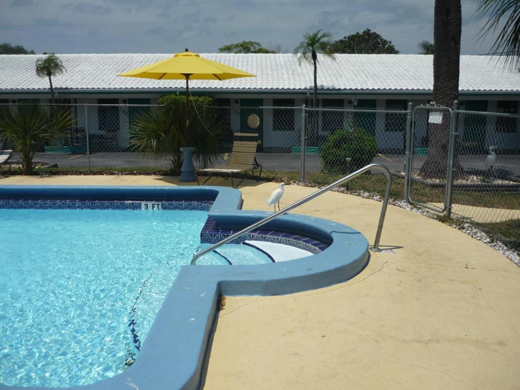 Bazén v ubytování Palm Court Motel nebo v jeho okolí