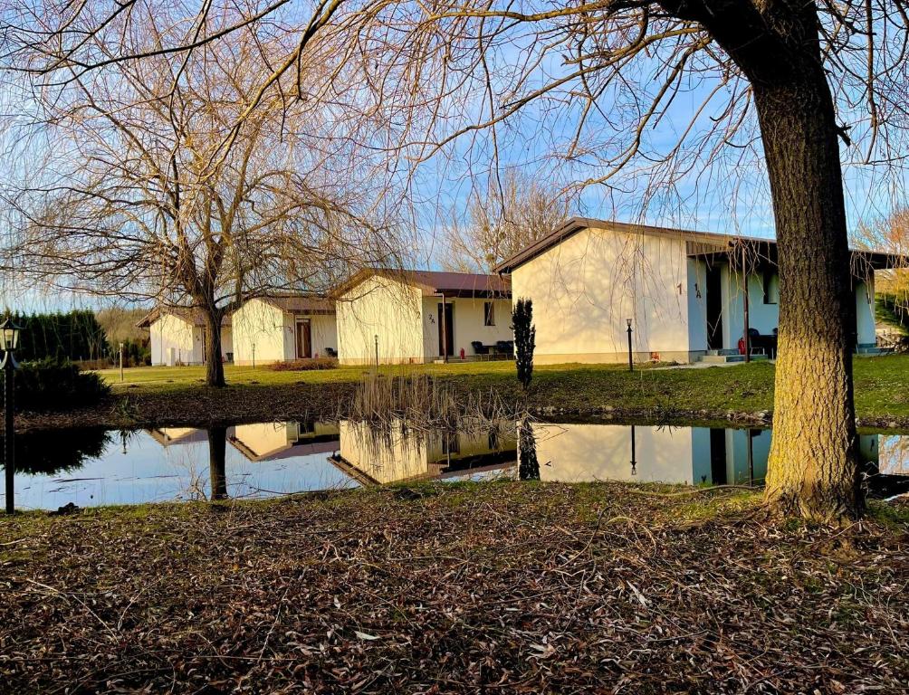 un reflejo de un edificio en un cuerpo de agua en Tündér Farm en Zirc