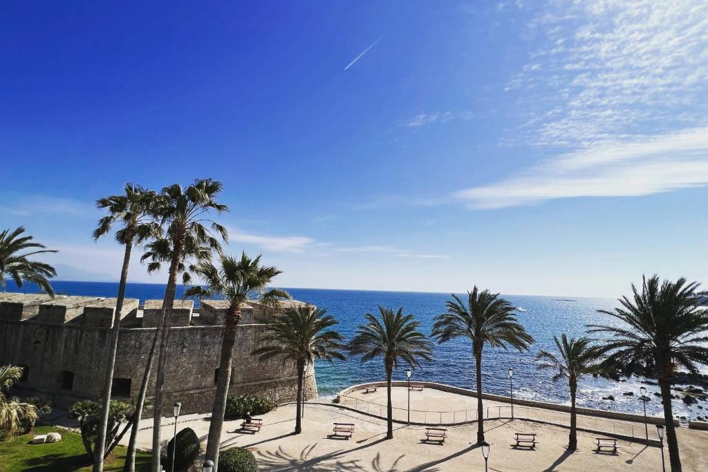 a view of a beach with palm trees and the ocean at Antibes sea view near Ilette - Sleeps 4 - Parking in Antibes