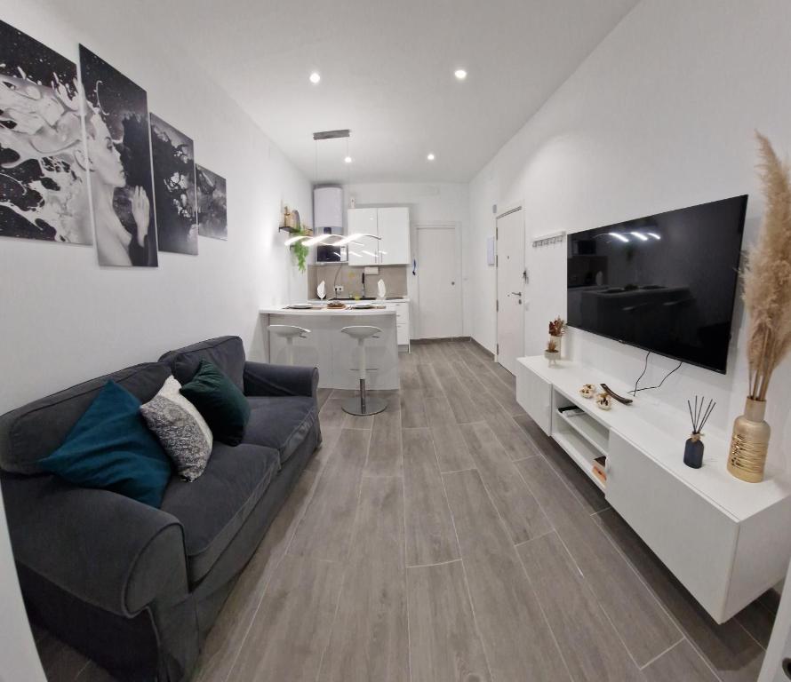 Il comprend un salon doté d'un canapé et d'une télévision à écran plat. dans l'établissement Barcelona, apartamento de 1 habitación, à L'Hospitalet de Llobregat
